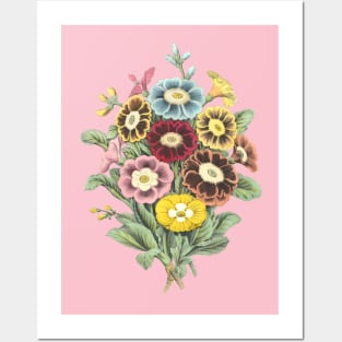 Primrose Flower Bouquet Vintage Botanical Illustration Posters and Art